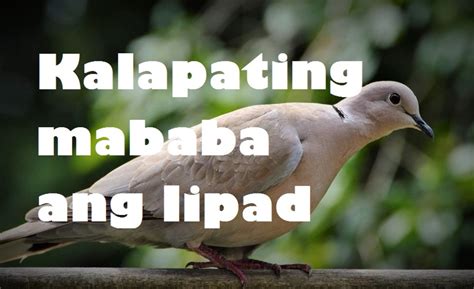 MABATA (Tagalog).